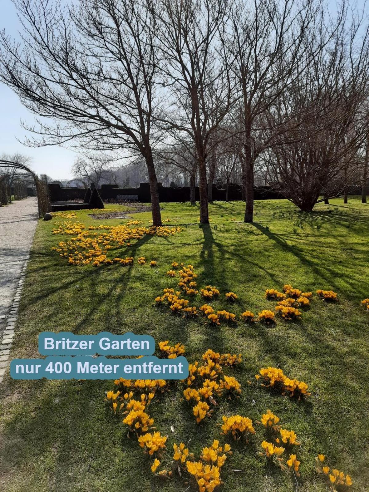 4 Sterne Souterrain Apartment Alt-Mariendorf Berlin Eksteriør billede
